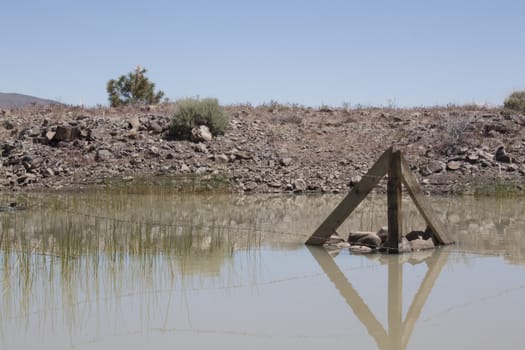 a muddy watering hole with a fence post in the middle