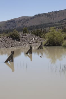 a muddy watering hole with a fence post in the middle