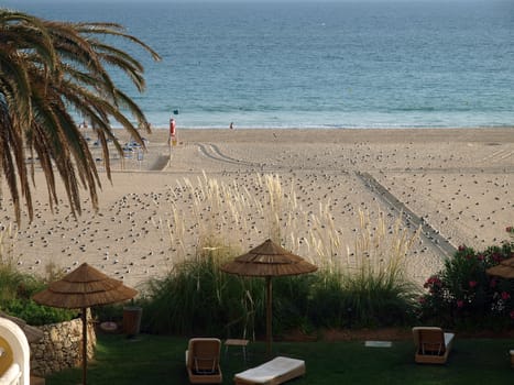  Beach of Praia da Rocha in Portimao, Algarve