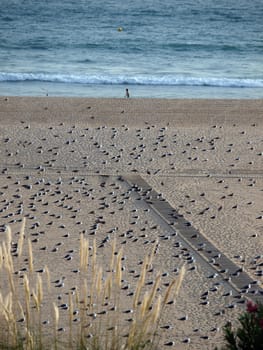  Beach of Praia da Rocha in Portimao, Algarve