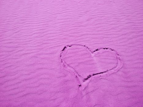 Purple Heart in the Sand on a Sunny Day