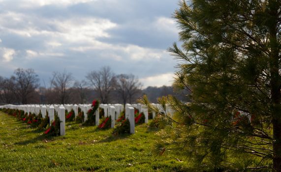 Christmas wreaths on gravestones in Arlington National Cemetery. The wreathes have been donated each year since 1992.