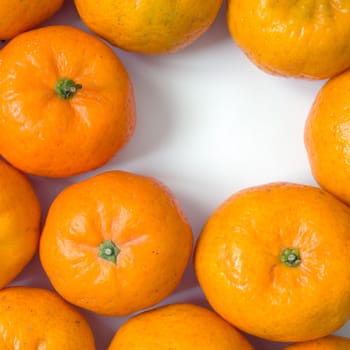 Top view of many orange on white table and space