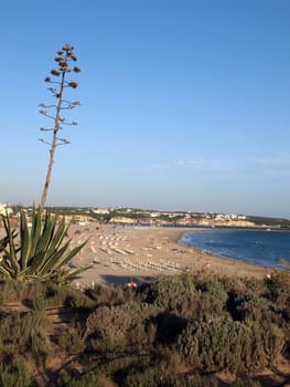 Praia da Rocha in the glow of the sunset. Portimao, Algarve