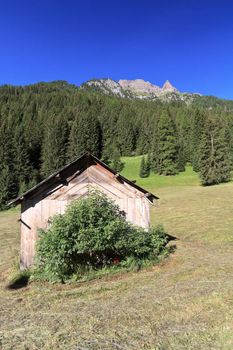 summer landscape in Fassa valley with a small barn, Italian Dolomites