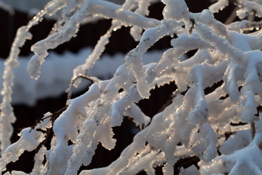 the winter-impression into the frosty afternoon