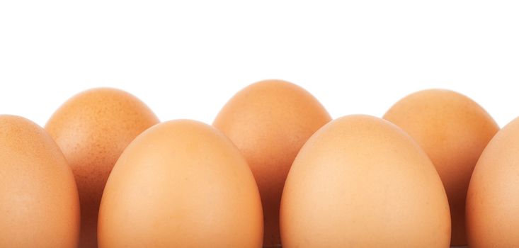 Row of brown eggs isolated over white background