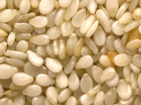 close up of white sesame seeds food background