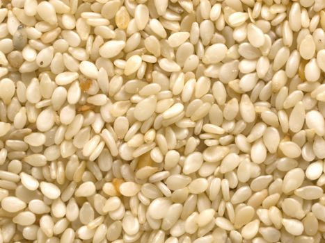 close up of white sesame seeds food background