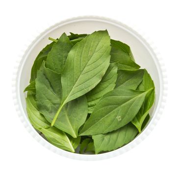 Fresh basil leaves in cup on a white background