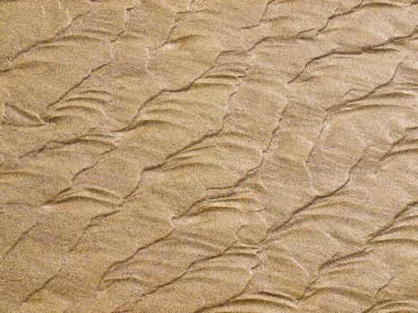 Abstract background of sand ripples at the beach 