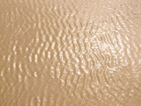 Foamy Ocean Shoreline at a Sunny Beach 