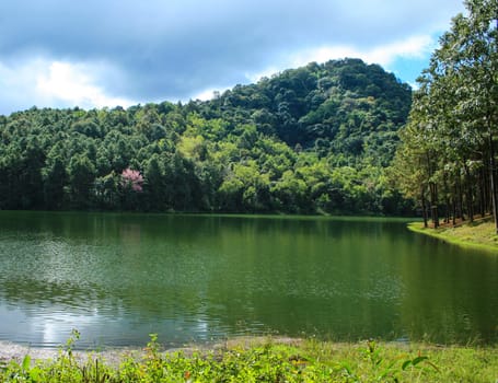 landscape with a silent lake and forest