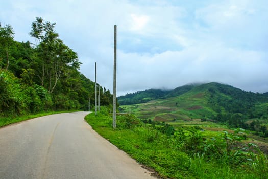 Curve road into forest, Thailand