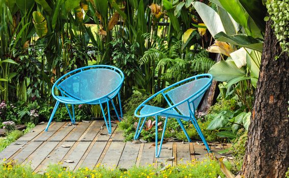 Blue chair with tree background in garden