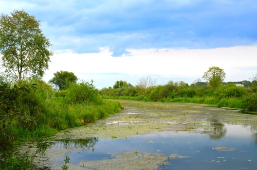 River turned into a bog