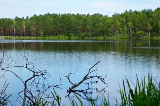 The thrown lake in the impassable wood