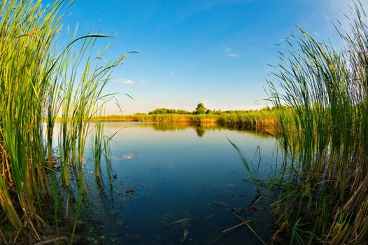 Beautiful calm lake in Siemianowka, Poland