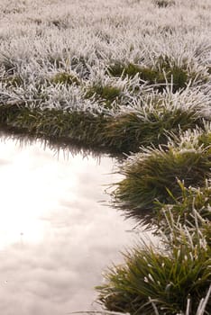 white frost on green grass next to water