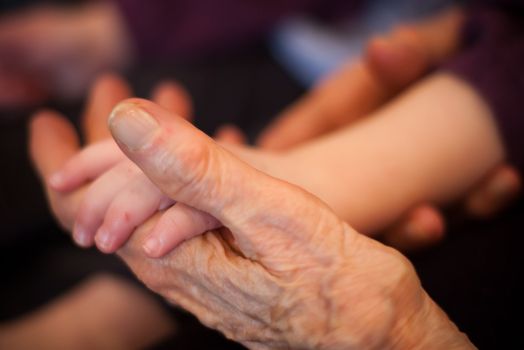 an old hand holding a baby hand