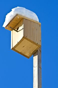 Birdhouse with snow