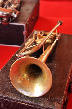 The trumpet is the musical instrument with the highest register in the brass family.