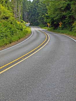 Curved Two Lane Country Road Winding Through a Forest