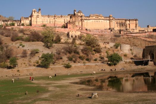 Amber Fort Jaipur India Water Reflection