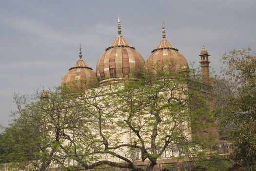 Mughal Buildings Delhi India Near Safardajung's Tomb