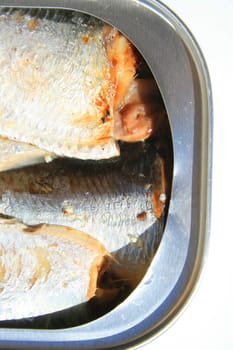 Close up of sardines in a can.
