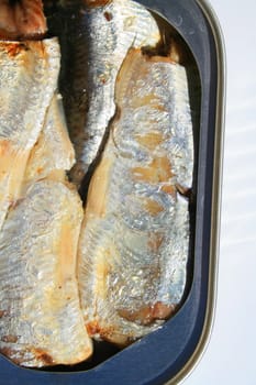 Close up of sardines in a can.
