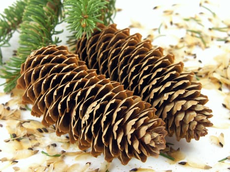 
festive cones 