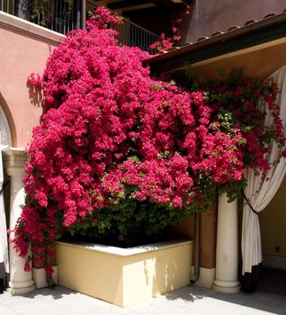 Santana Row is an upscale shopping center in San Jose, California.