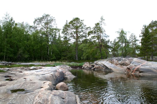 Summer forest, water and rocks
