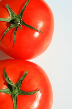 Close up of the red tomatos on a white background.
