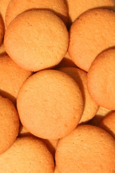 Close up of vanilla cookies on a plate.
