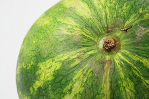 Close up of a big watermelon.
