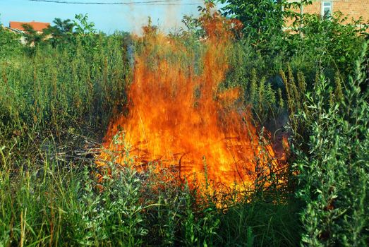 orange fire over dry brushwood in green grass