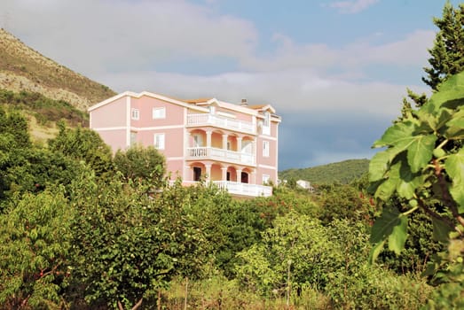 pink house on hill surrounded by green trees