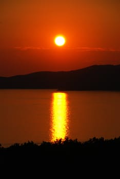 orange sunset over sea behind black tree silhouettes