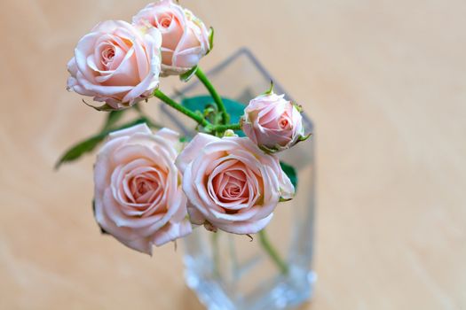 pink roses in a vase on a wooden desk