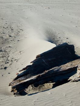 Driftwood on the Beach and Wind Blown Sand Pattern