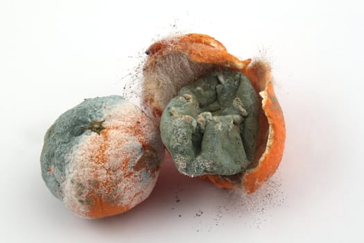Rotting fruit on a white background.