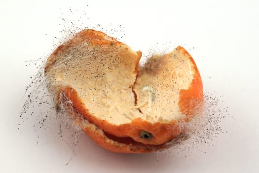Rotting fruit on a white background.