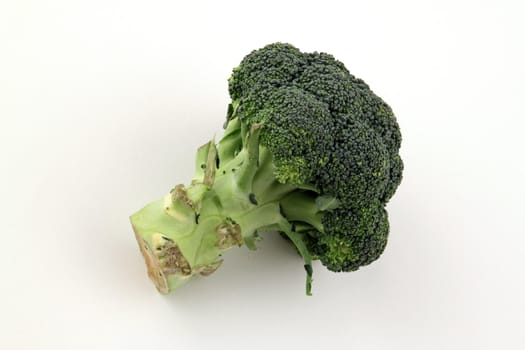 Freshly cut broccoli on a plain white background