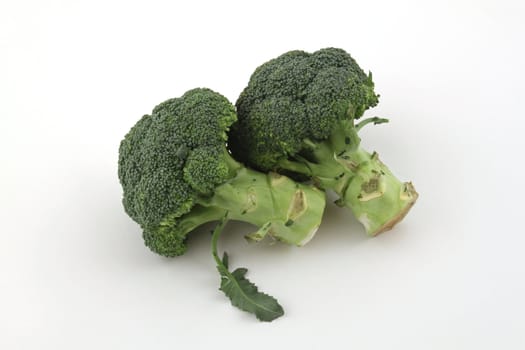 Freshly cut broccoli on a plain white background.