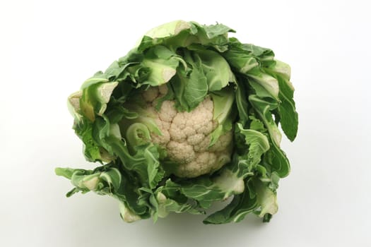 Cauliflower on a white background.