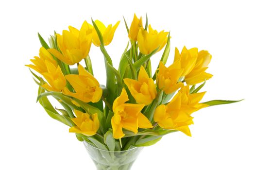yellow tulips in a vase on a white background