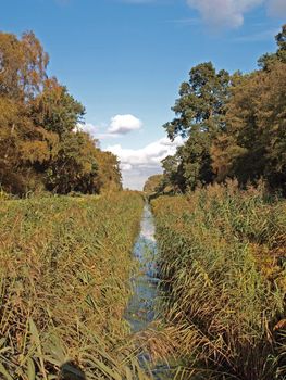 The water level in Holme fen is managed using long straight drainage dykes. The banks of which support a wide diversity of wild life.