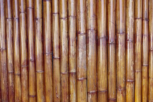 the very old bamboo background for design